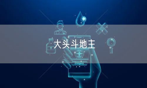 大头斗地主